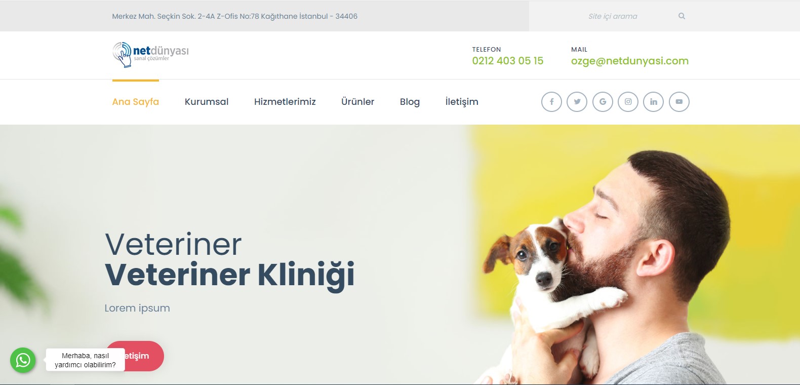 Veteriner Kliniği İçin Hazır Web Sitesi - ND16